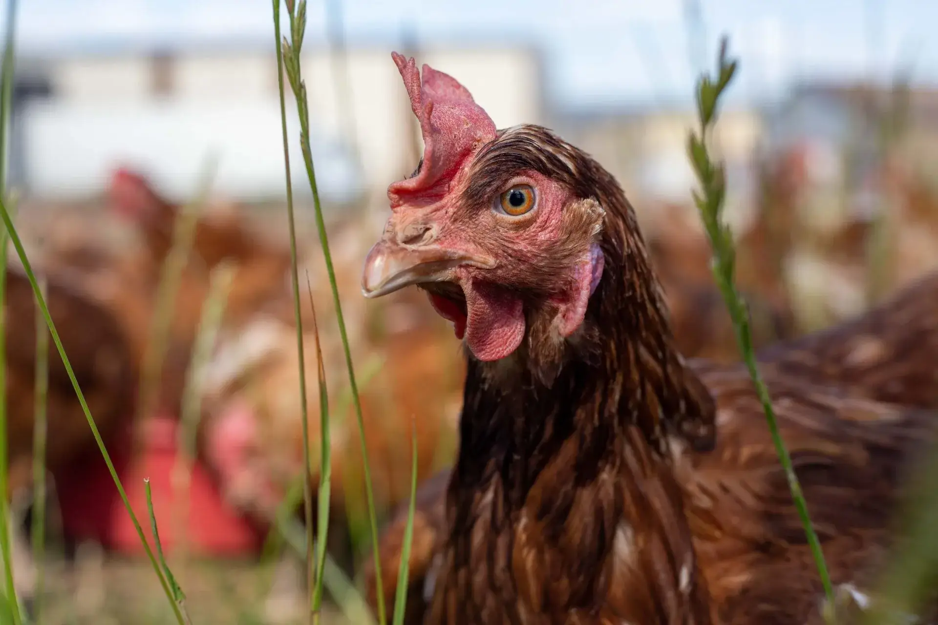 Nouveau site Internet