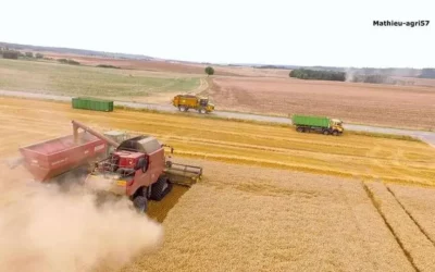 Une entreprise à votre service