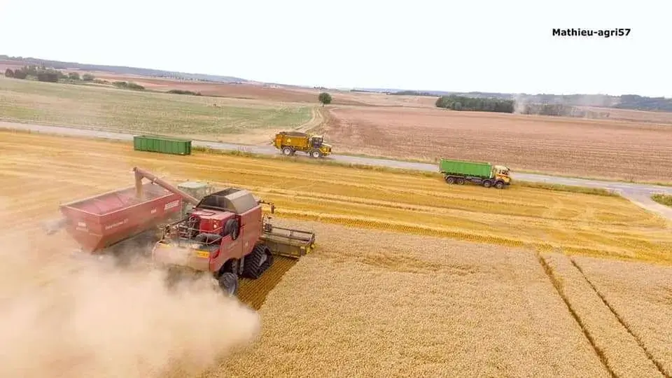 Une entreprise à votre service